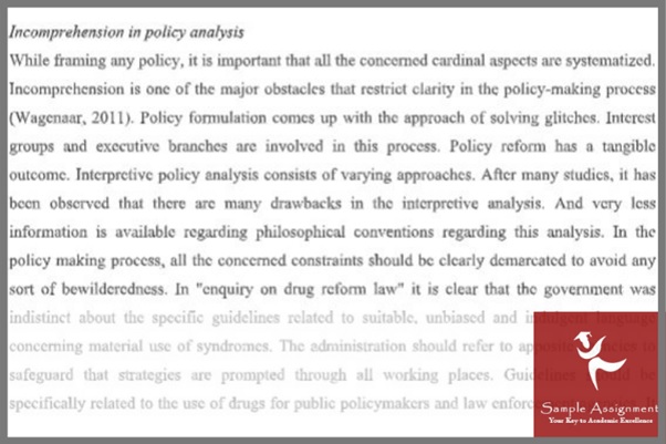 public policy perspectives assignment answer