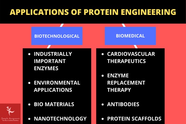 applications of protein engineering