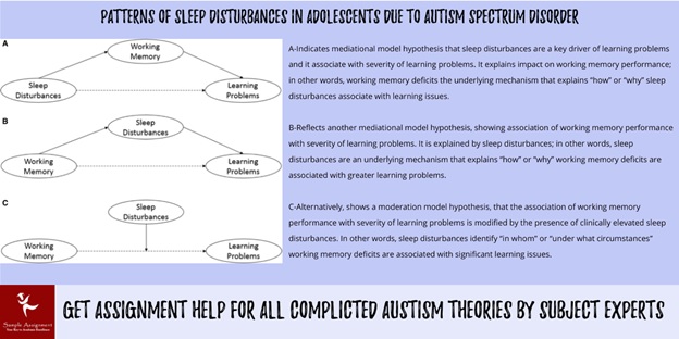 autism theory assignment help