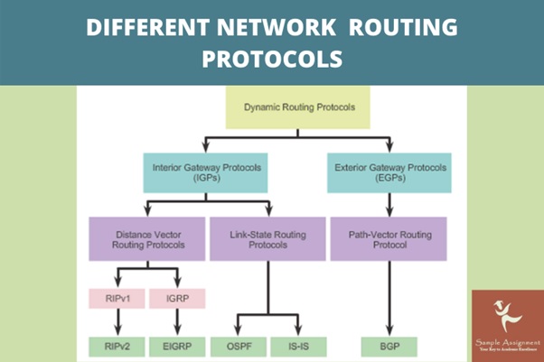 network routing protocols