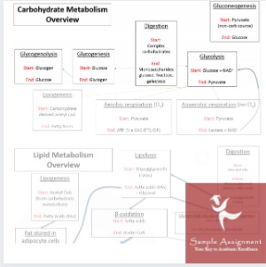 biochemical pathology assignment sample