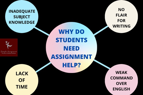 need diploma assignment help