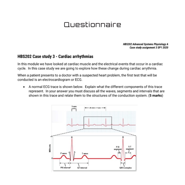 advanced system physiology assignment questionnaire