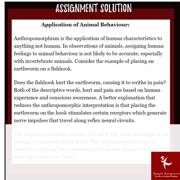 animal behavior assignment example