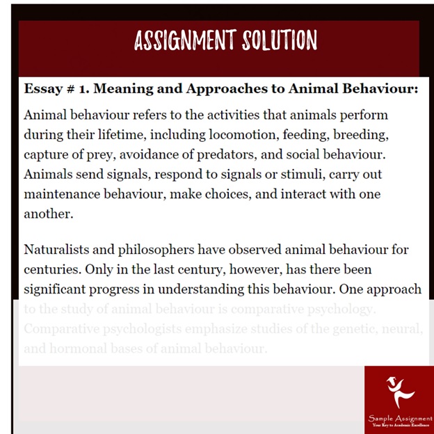 animal behavior assignment sample online