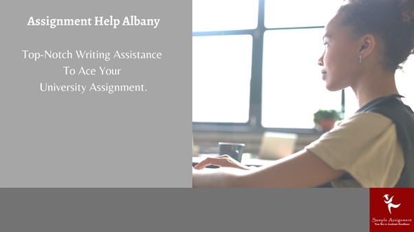 assignment help Albany