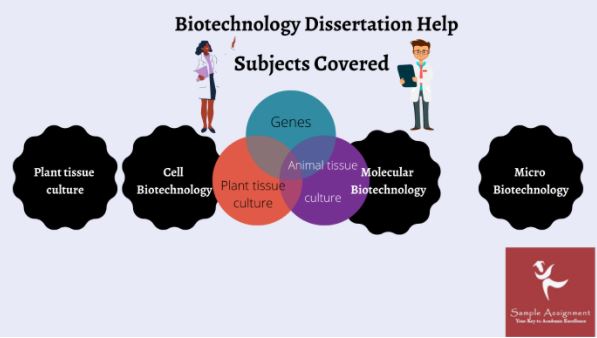 biotechnology dissertation help experts