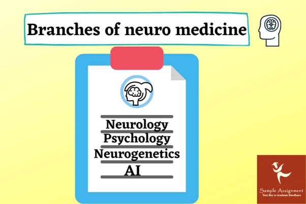 branches of neuro medicine