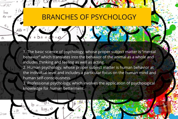 branches of psychology