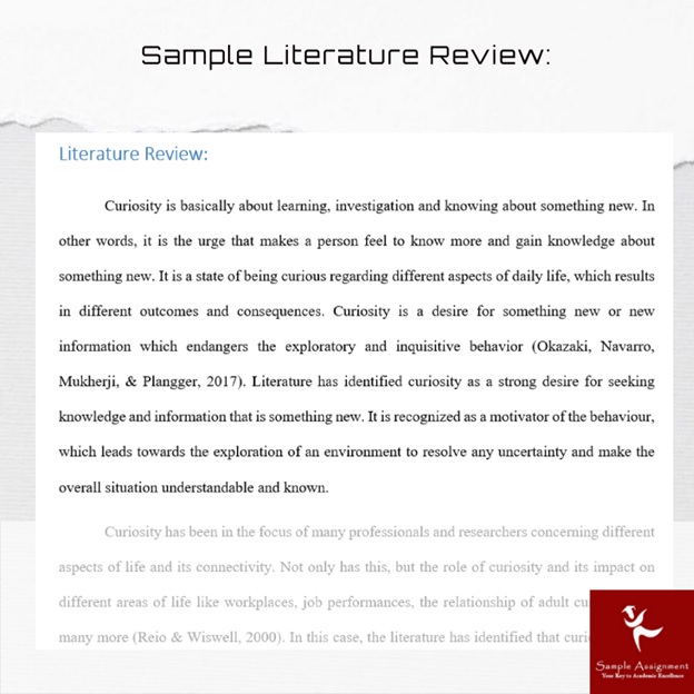 dissertation literature review sample