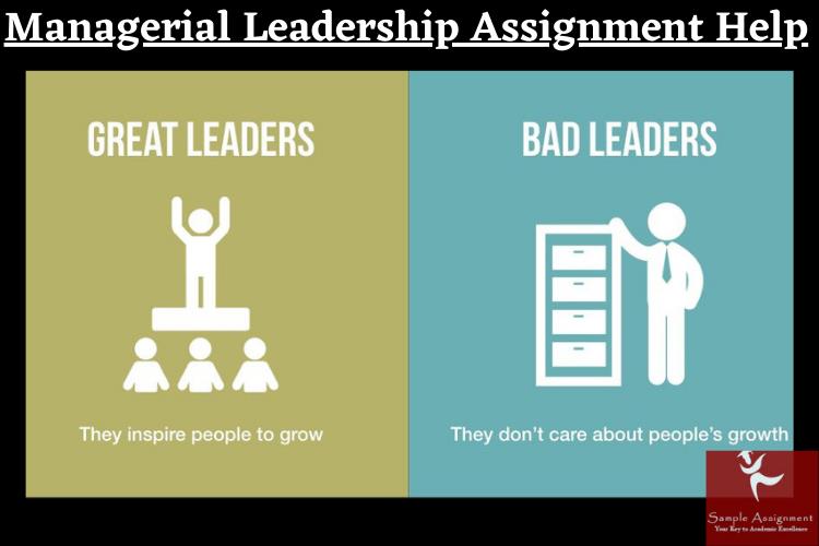 managerial leadership assignment help