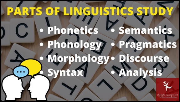 parts of linguistics study