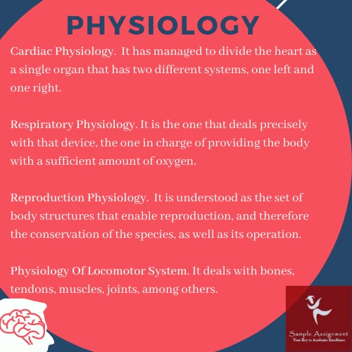 physiology essay help uk