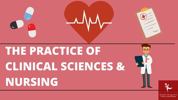 practice of clinical sciences nursing