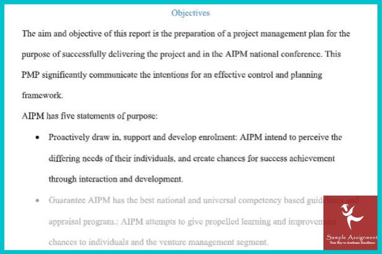 project management plan assignment sample