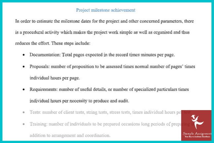 project management plan assignment solution