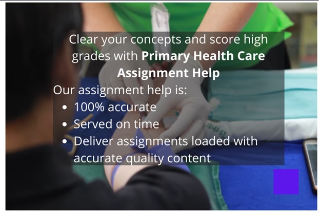 promary health care assignment help