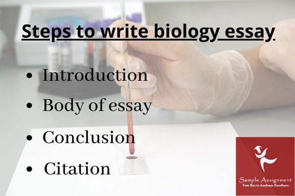 steps to write biology essay