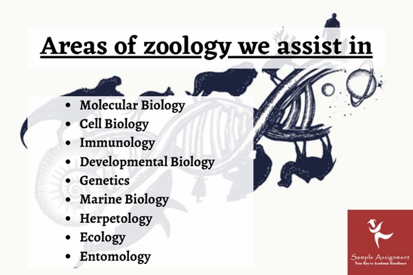 zoology assignment help UK