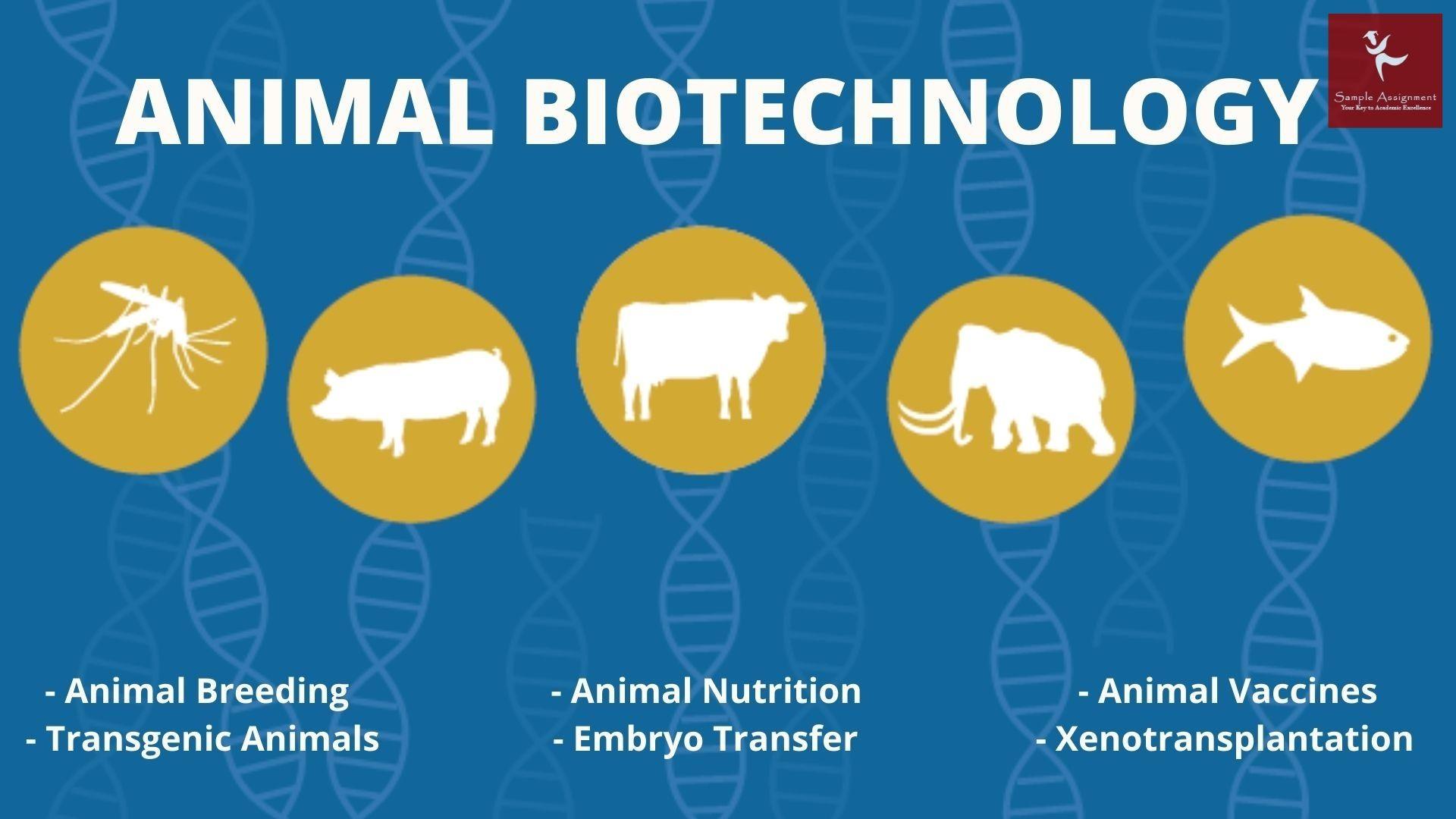 animal biotechnology assignment help canada