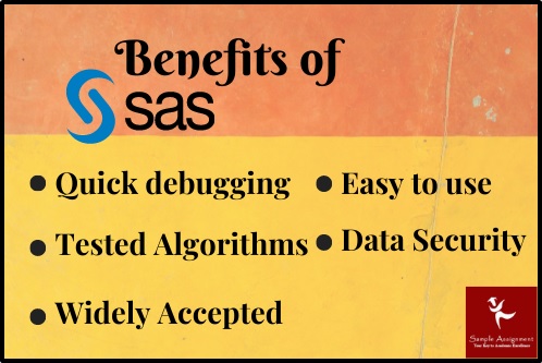 benefits of sas