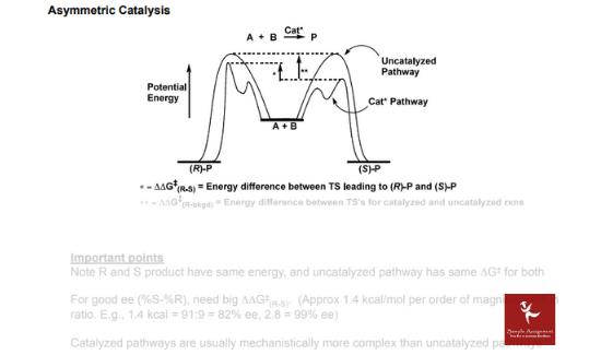 catalytic processes assignment sample