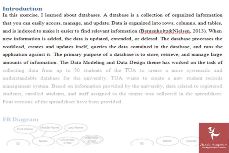 database design fundamentals assignment sample uk