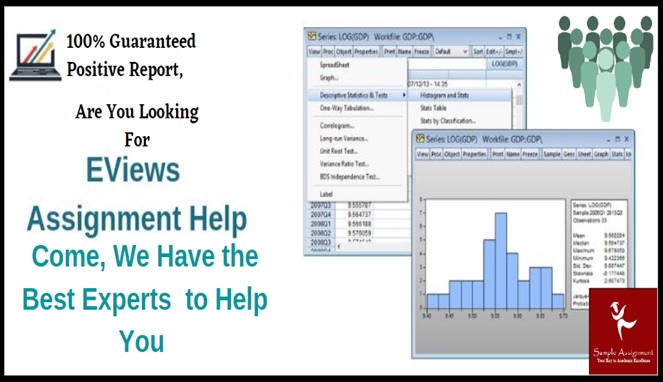 e views assignment help come we have the best experts to help you