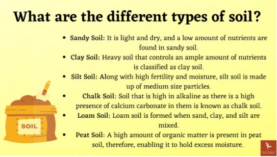 soil formation assignment help canada