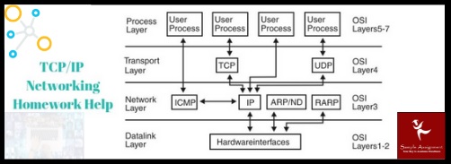 tcpip networking homework help