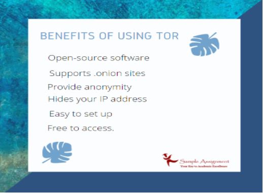 tor network assignment help australia