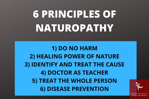 6 principles of naturopathy