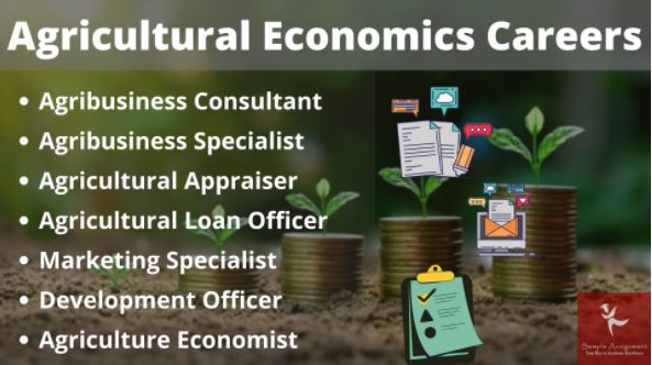 agricultural economics assignment online