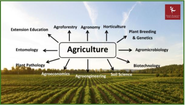 agricultural science assignment help