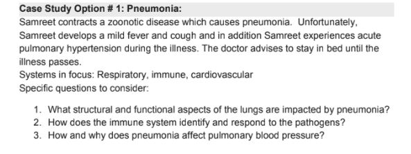 anatomy homework help sample question