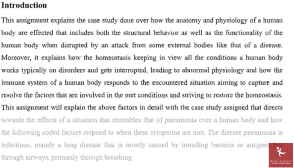 anatomy homework help sample solution