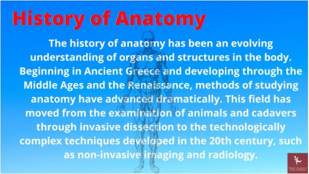 anatomy homework help usa