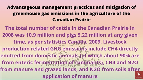 animal nutrition principles assignment services