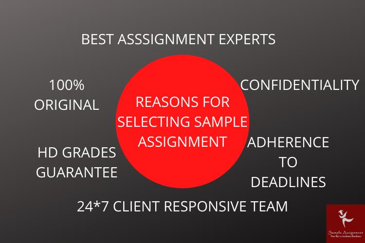 best assignment experts