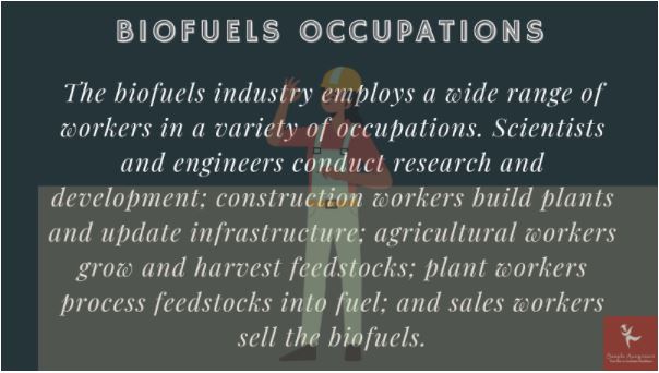 biofuels engineering homework