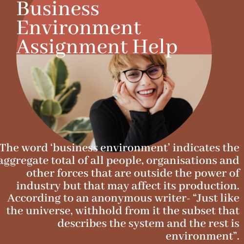 business environment assignment help