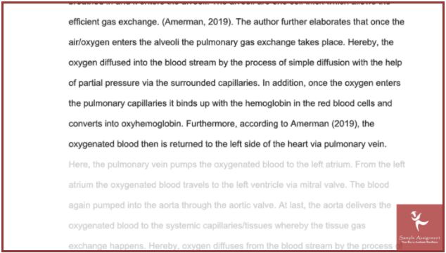 cardiovascular physiology homework sample online