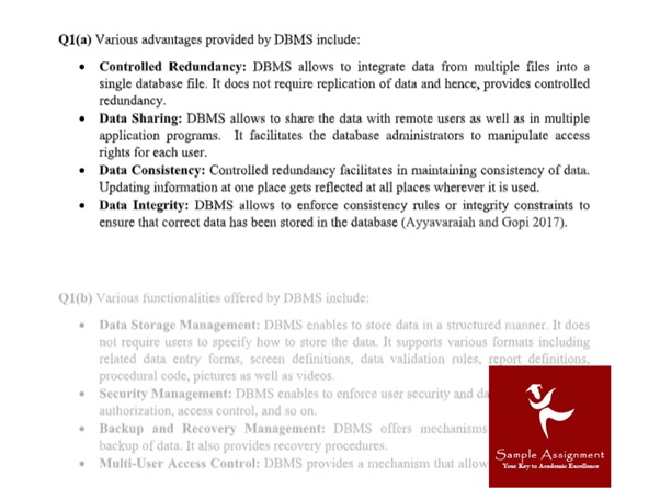 dbms assignment help sample