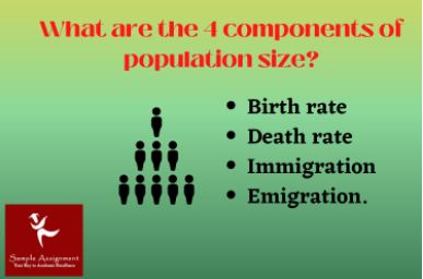 demography and population study assignment online