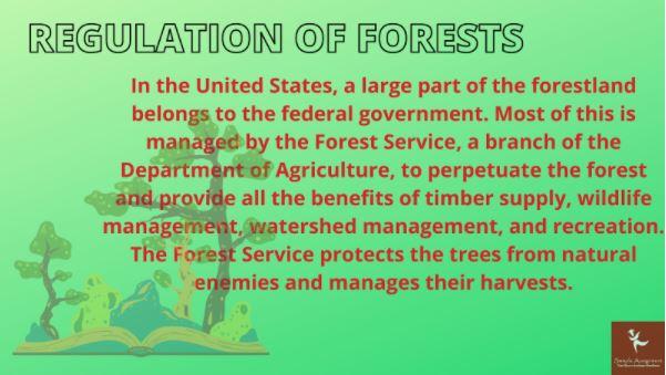 forestry homework help usa