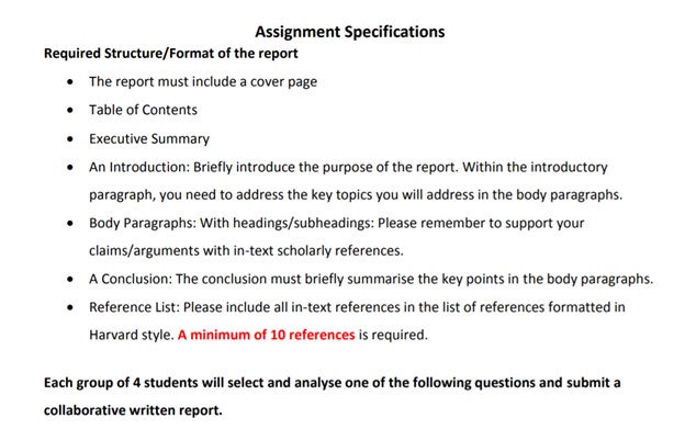 international business environment homework specifications