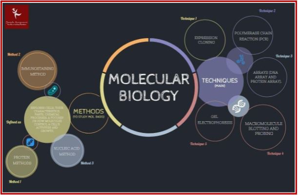 molecular biology assignment