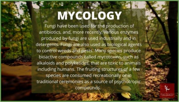 mycology homework help