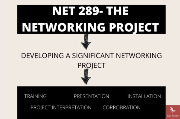 net 289 case study 3 assignment