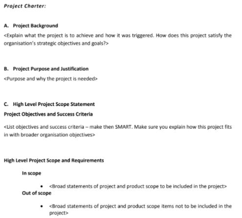 project charter assignment sample